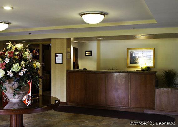Holiday Inn Baltimore BWI Airport Linthicum Interior foto